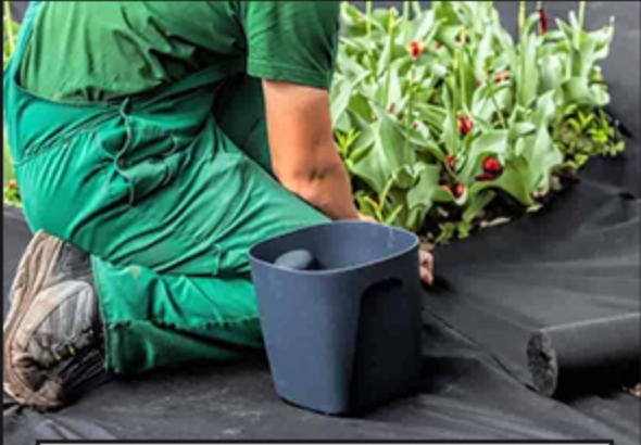 Non Woven Fabric Roll Rolka z włókniny