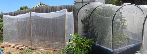 anti insect net siatka przeciw owadom