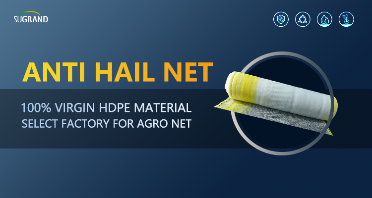 hail netting for vineyards Zatrzymuj siatkę na winnice