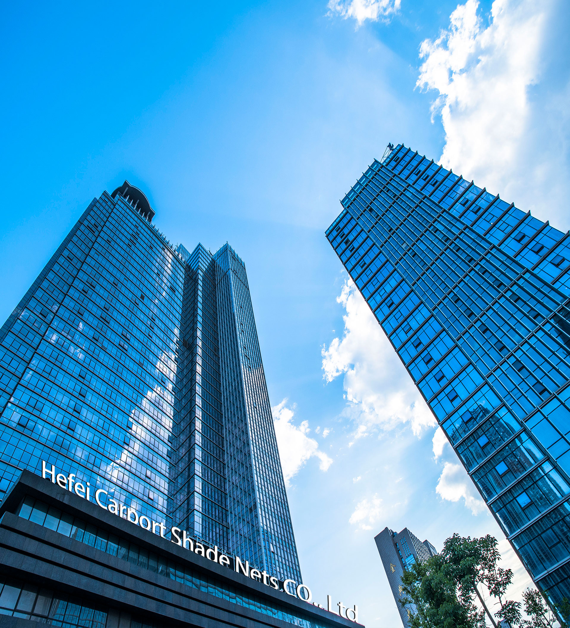 warning net12 sieć ostrzegawcza12