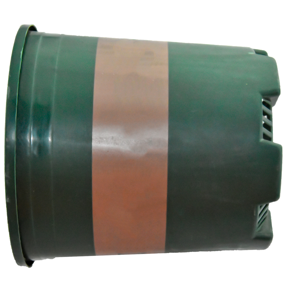 Trwałe czarne kolory rośliny do sznurków