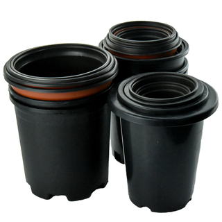 Trwałe czarne kolory rośliny do sznurków