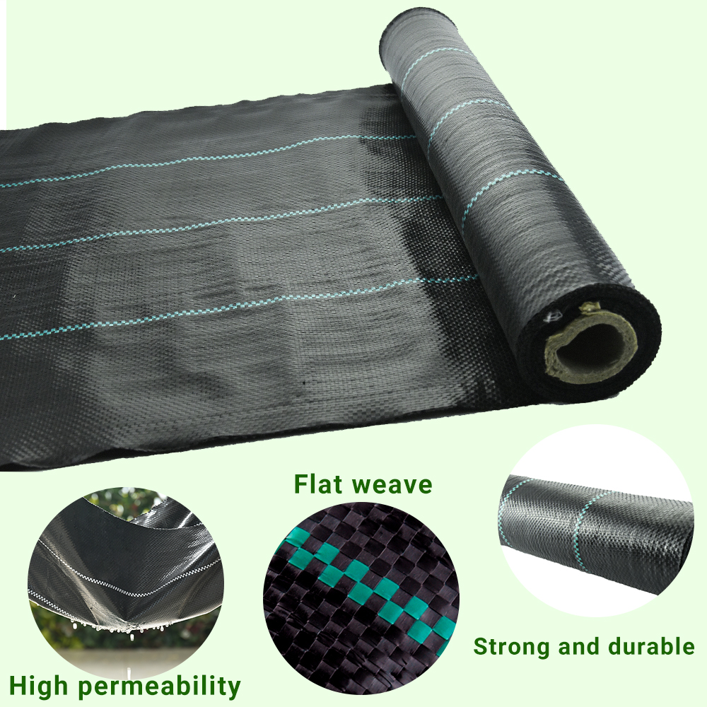 Czarna kontrola roślinność chwastowa mata gruntowa ochrona roślin Wzrost roślin