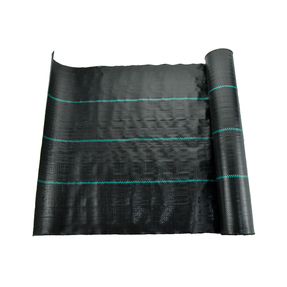 China Factory 70G Rolniczy krajobraz PE Fabric