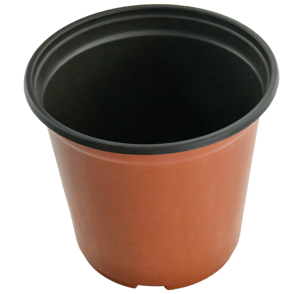 Trwałe czarne kolory rośliny do sznurków