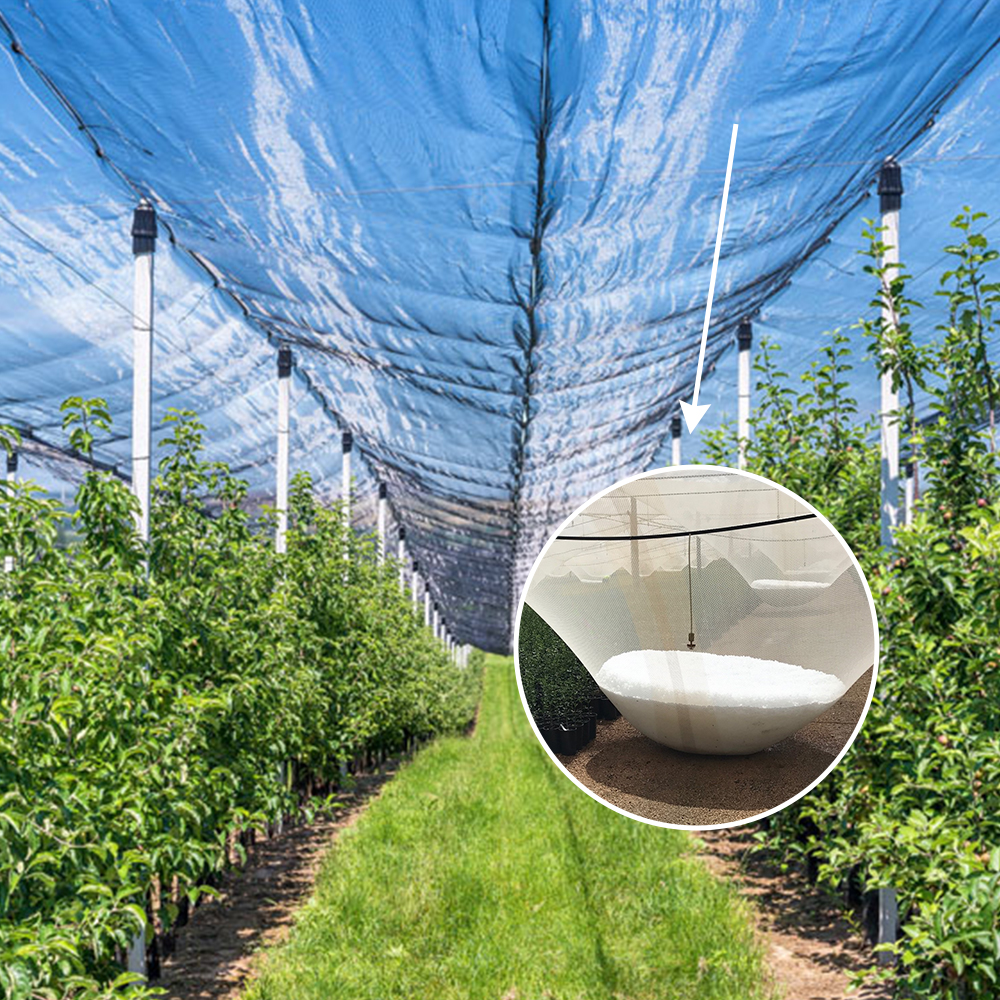 Rolnictwo plastikowe HDPE Plastikowe anty -hail siatkę netto netto biały grad netto 