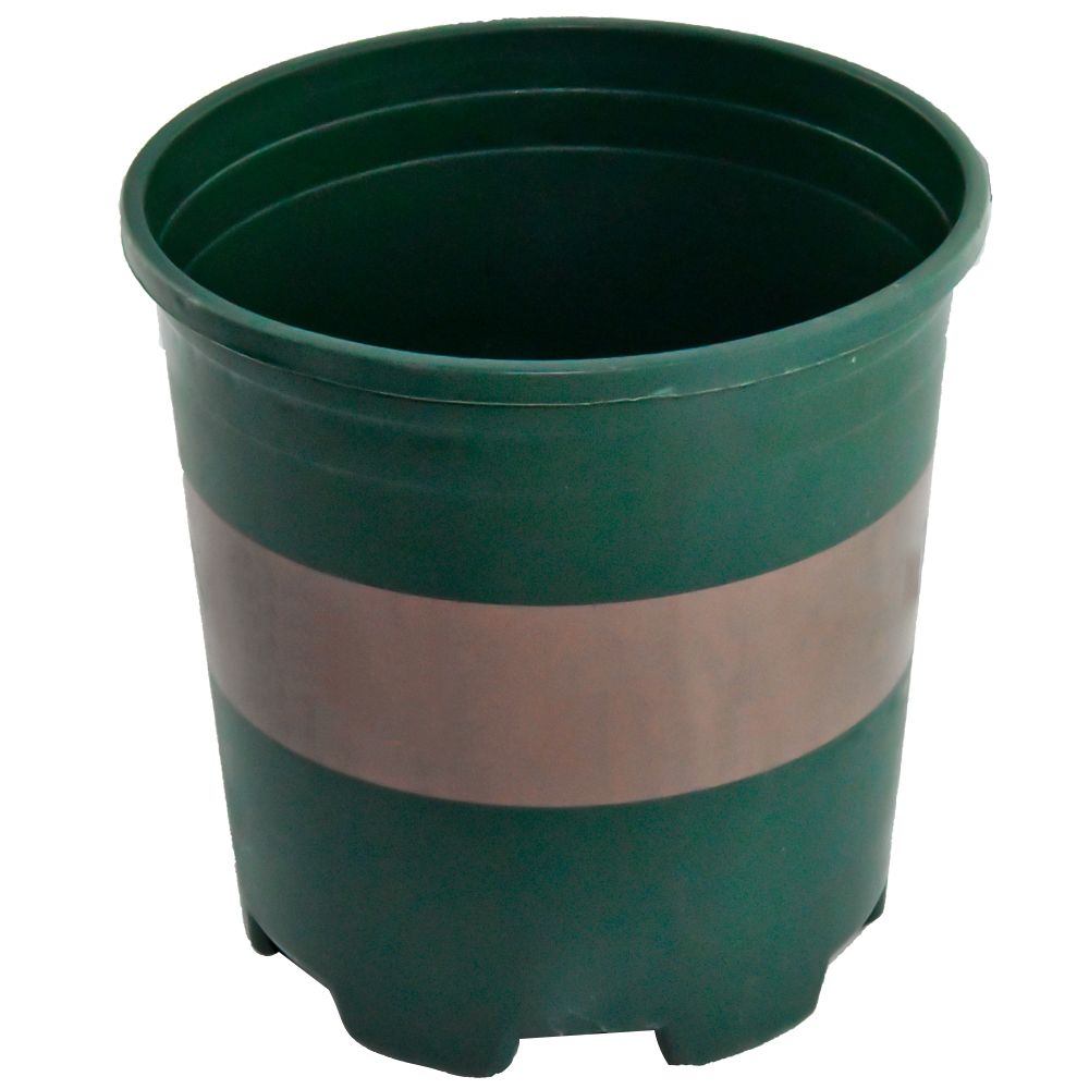 Trwałe czarne kolory rośliny do sznurków