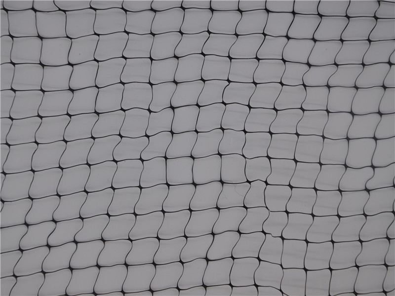 Black Plant Support Net Sale online