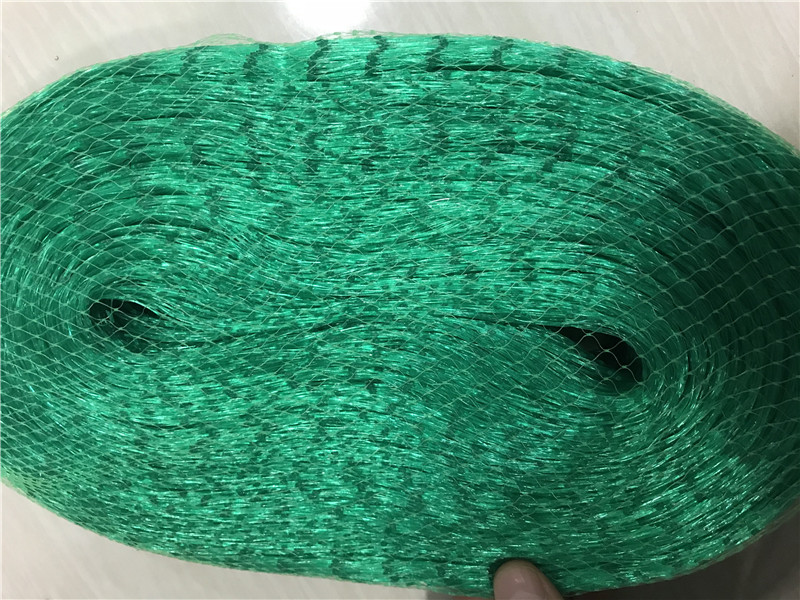 Który rodzaj sieci ptaków ma dłuższe życie na służbie?