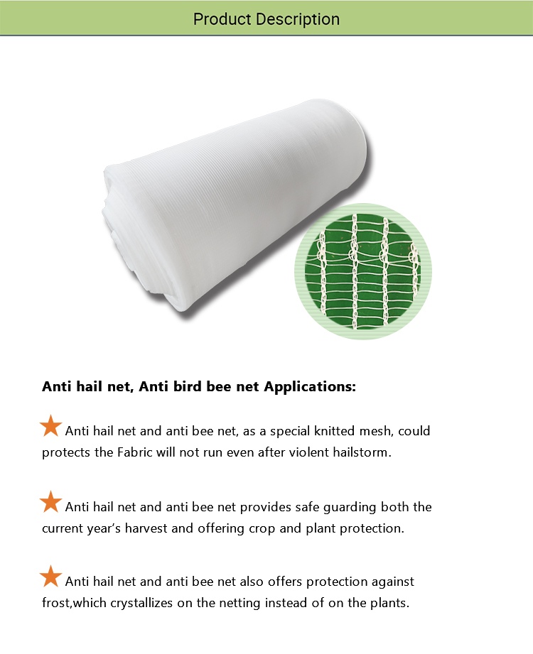 Sieć pszcz&oacute;ł-2