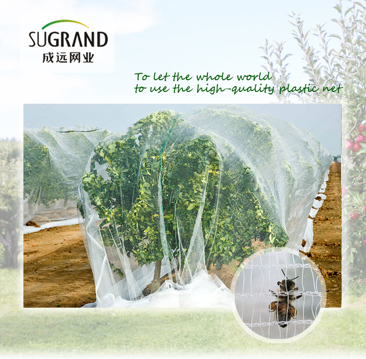 Sieć pszcz&oacute;ł-1