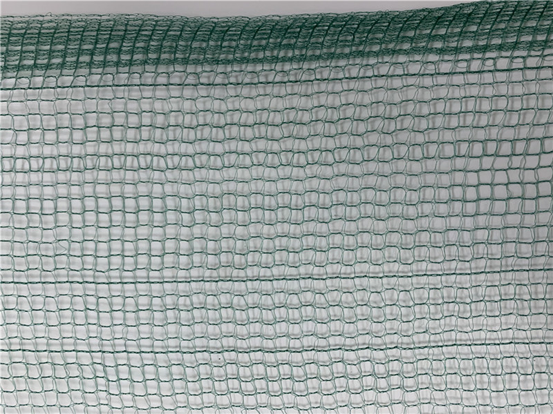 Kwadratowy zbiór owoców zielonych oliwek 32GSM netto