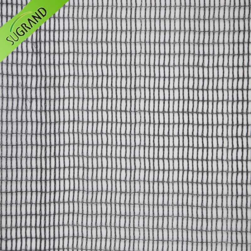 18,6 KG kwadratowa siatka z czarnej oliwki / siatka do zbioru