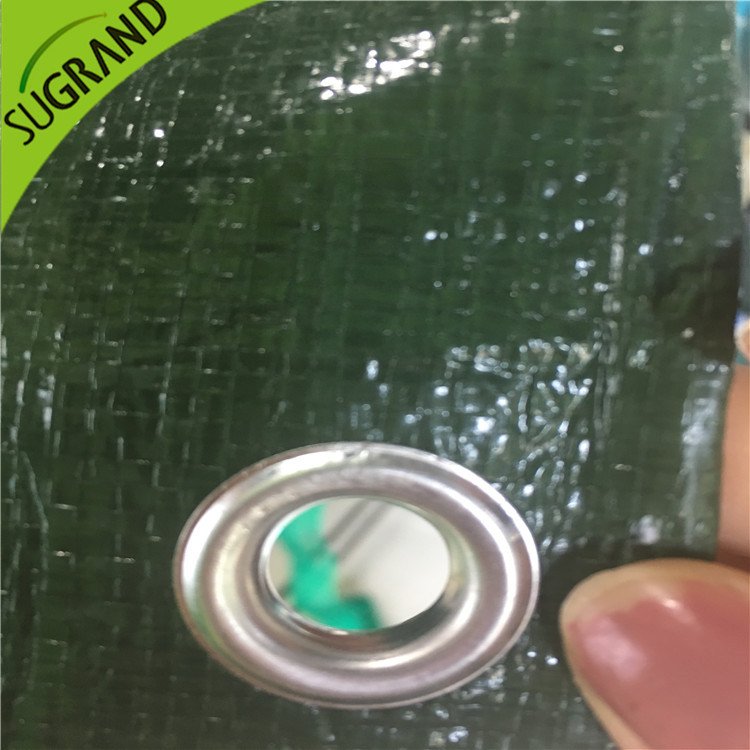 150GSM Zielona okładka naziemna dla ogrodów