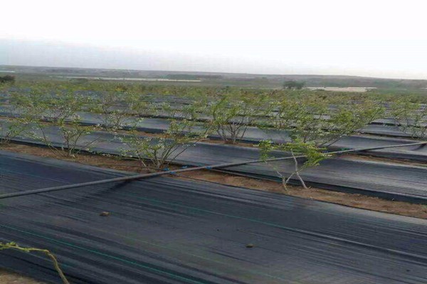 Krótkie wprowadzenie do pokrycia gruntu