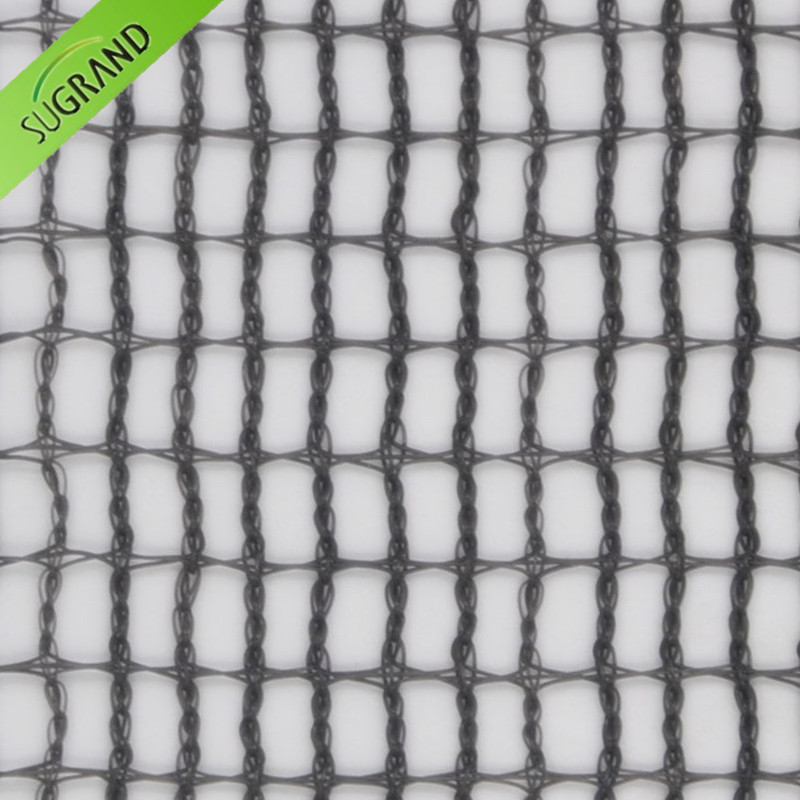 18,6 KG kwadratowa siatka z czarnej oliwki / siatka do zbioru