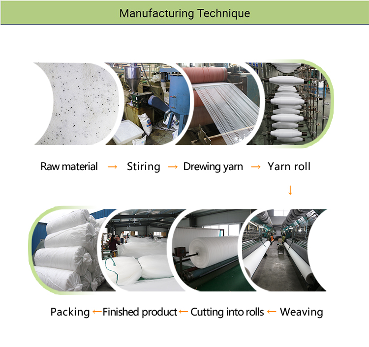 Sieć pszcz&oacute;ł-4