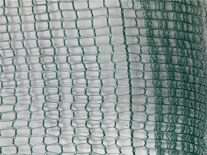 Kwadratowy zbiór owoców zielonych oliwek 32GSM netto