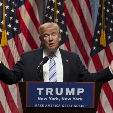 siatka podtrzymująca rośliny