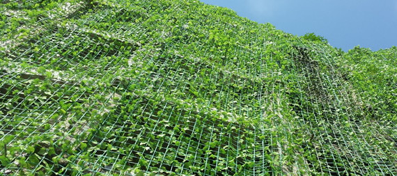 Jakie materiały są używane do tworzenia siatki dla ptaków i netto wspornika roślin?