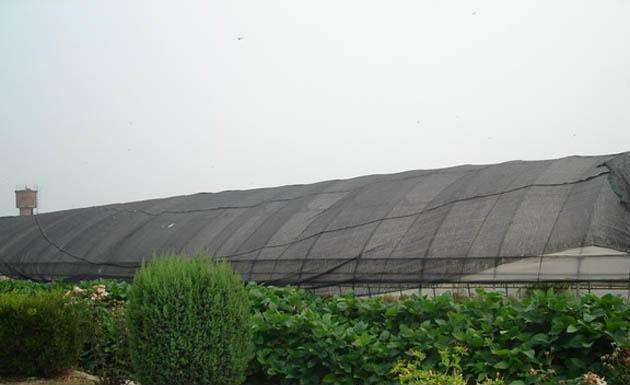 Jaki kolor jest dobry na cienia?