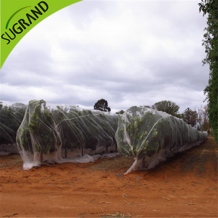 Przezroczysta siatka przeciw pszczołom online