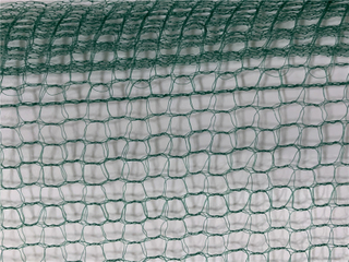 Kwadratowy zbiór owoców zielonych oliwek 32GSM netto