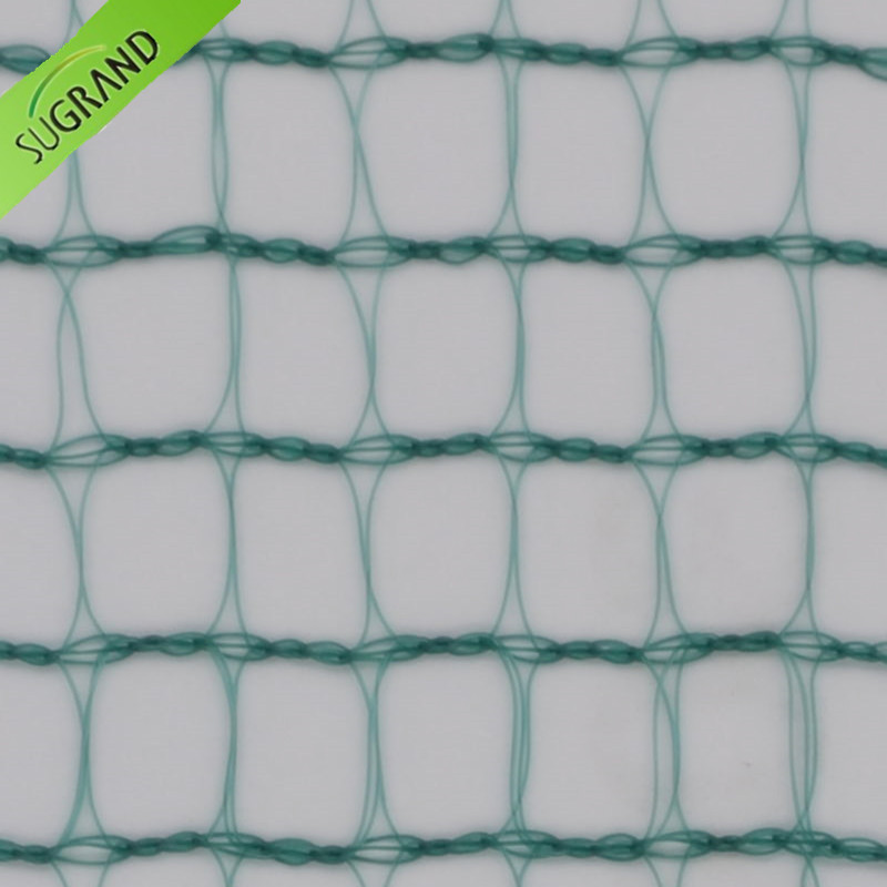 Zielona kwadratowa siatka do łapania plonów 30G/M2