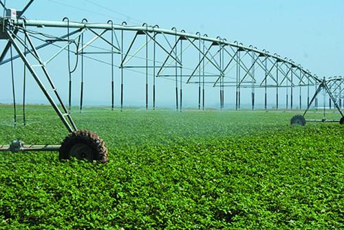 plastikowa siatka rolnicza 