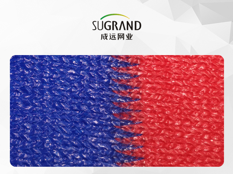 3 kolory 200GSM Mono i taśmowe Sun Shade Net