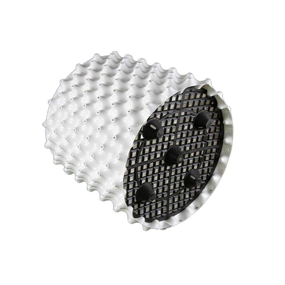 Pojemnik kontrolujący korzeń roślin