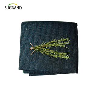 160 gsm ciemnozielona czarna mono taśmowa siatka