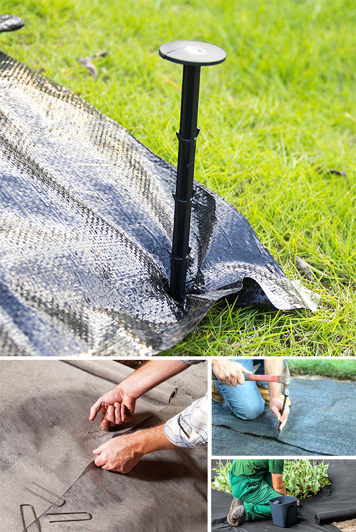 Gw&oacute;źdź mielony