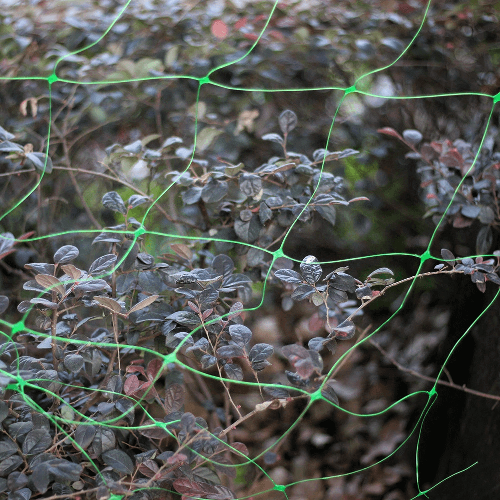 sieć wspinaczowa og&oacute;rka fasoli