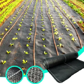 Korzyści z okładki naziemnej SUGRAND