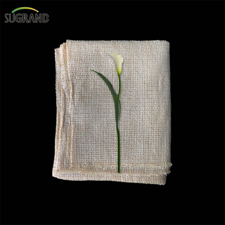 UV stabilowane czarne plastikowe odcienie odcienia