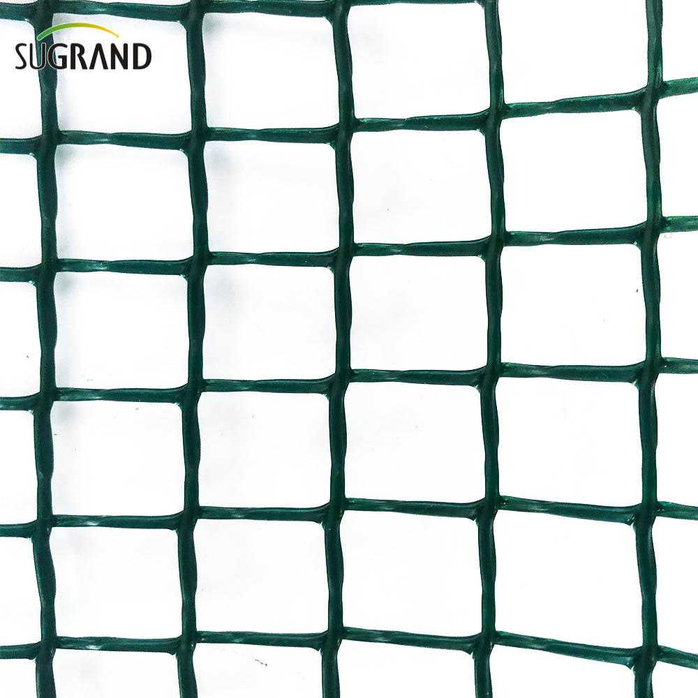 BOP Net BOP Green rozciągnięty PP Net Net Anti Bird Netting