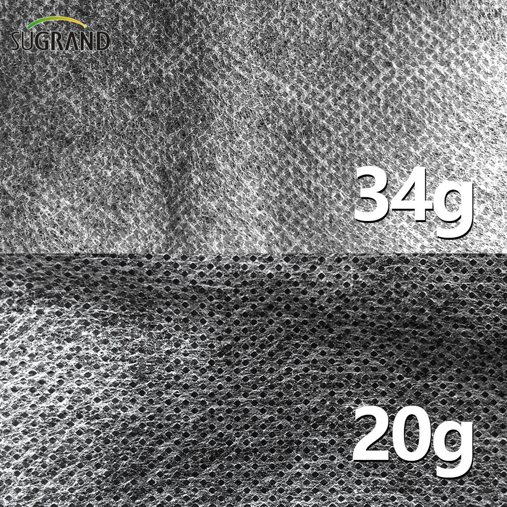 100G 2x50m Rolnictwo PP Biała tkanina bez tkanin 