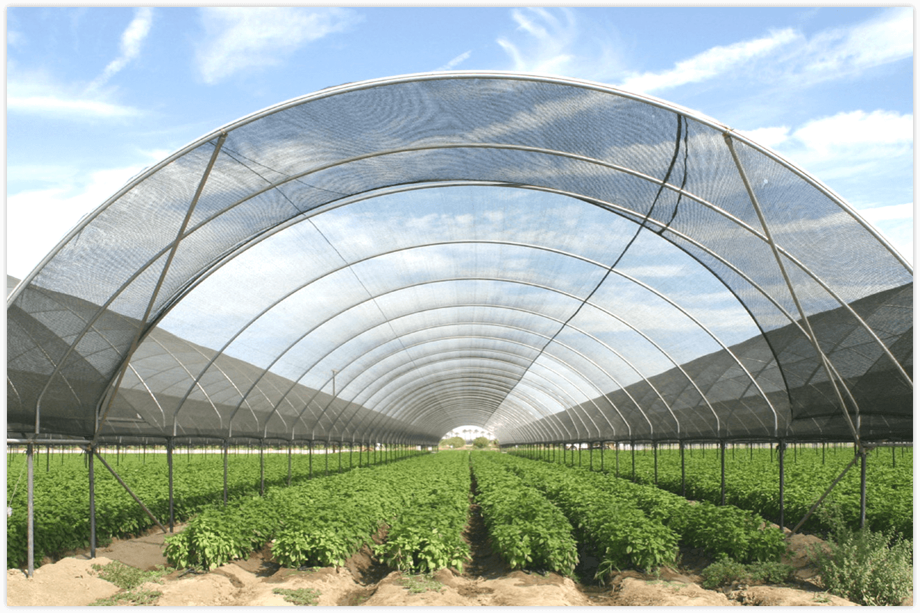 fabryka siatek cieniujących