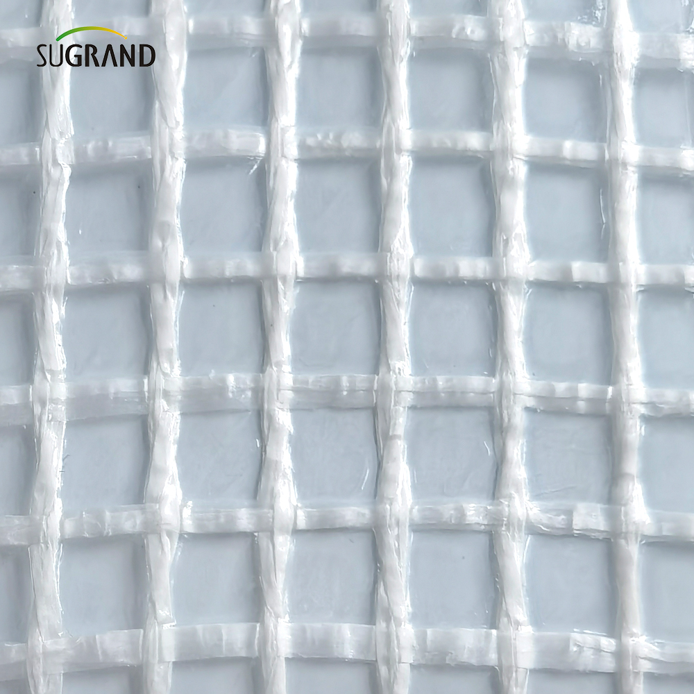 800 g opóźniającego się 3*45 m rusztowania arkusz siatki