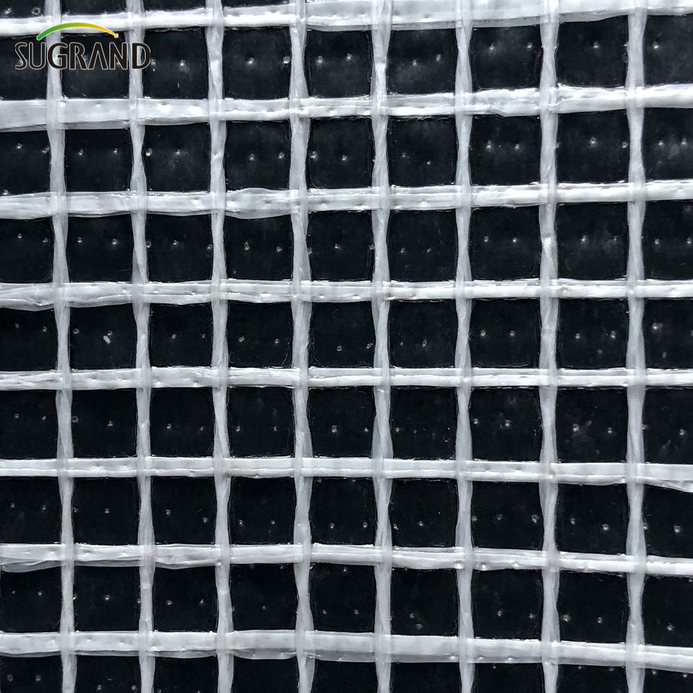 Biały pvc ognioodporna arkusz siatki rusztowa