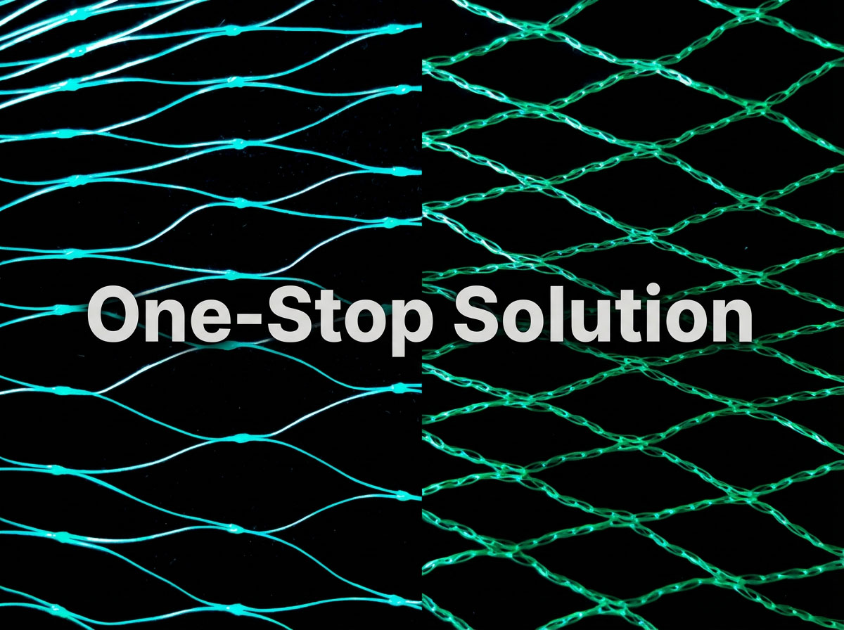 siatka ptak&oacute;w