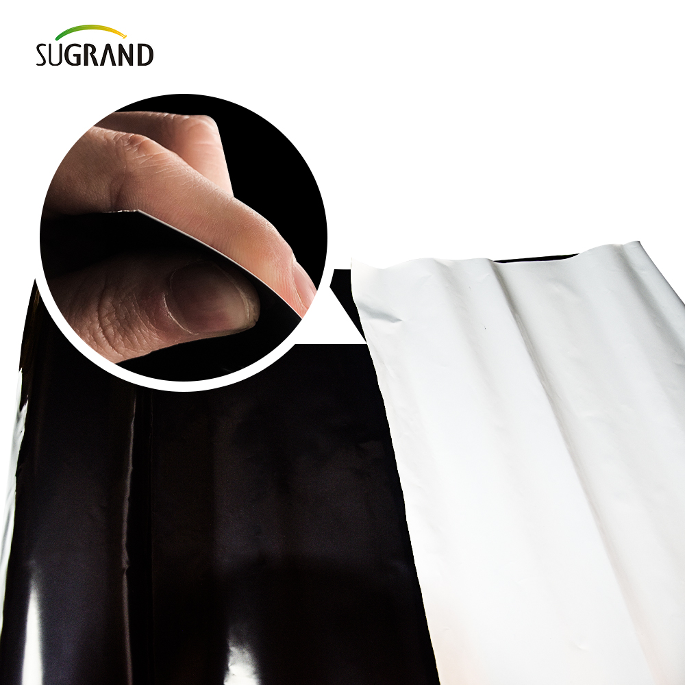 Mulch Film Rolnictwo plastikowe 