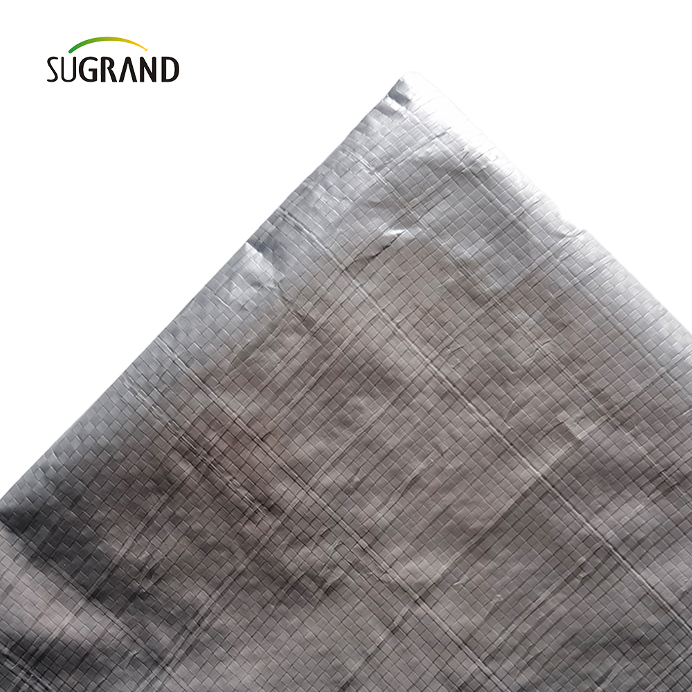 Fabrycznie bezpośrednie hurtowe białe plastikowe plandeki PE UV Arkusz