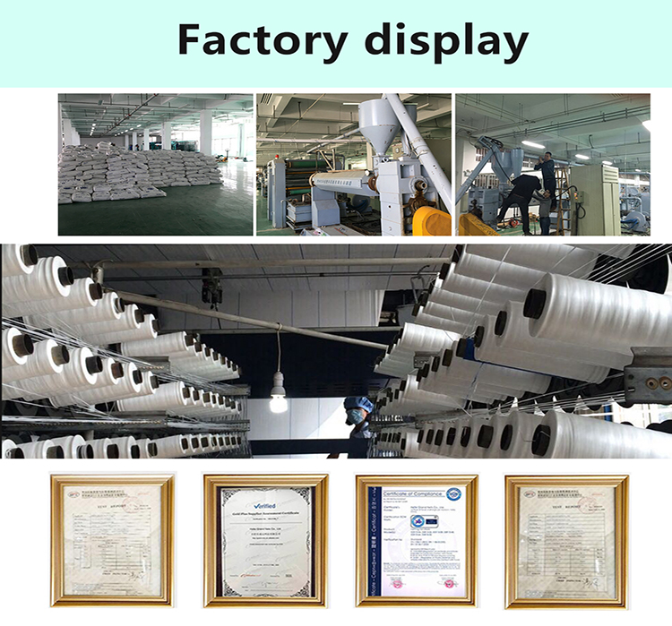 folia ści&oacute;łkowa (4)