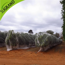 Jak wybrać odpowiednią sieć pszczół dla swojej farmy