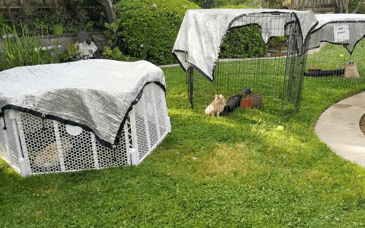 Jak mierzyć cień żagla