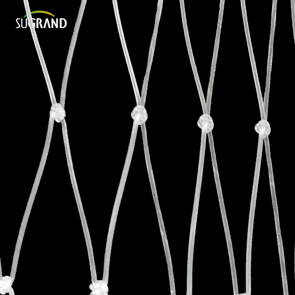 15*15 cm Przezroczysta nylonowa netto rybne na rynek Peru