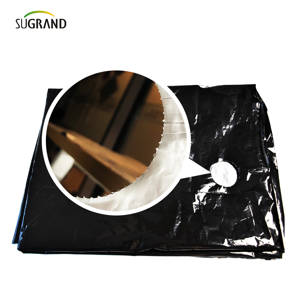 Perforowany folia ściółki UV UV Film do użytku dla warzyw 