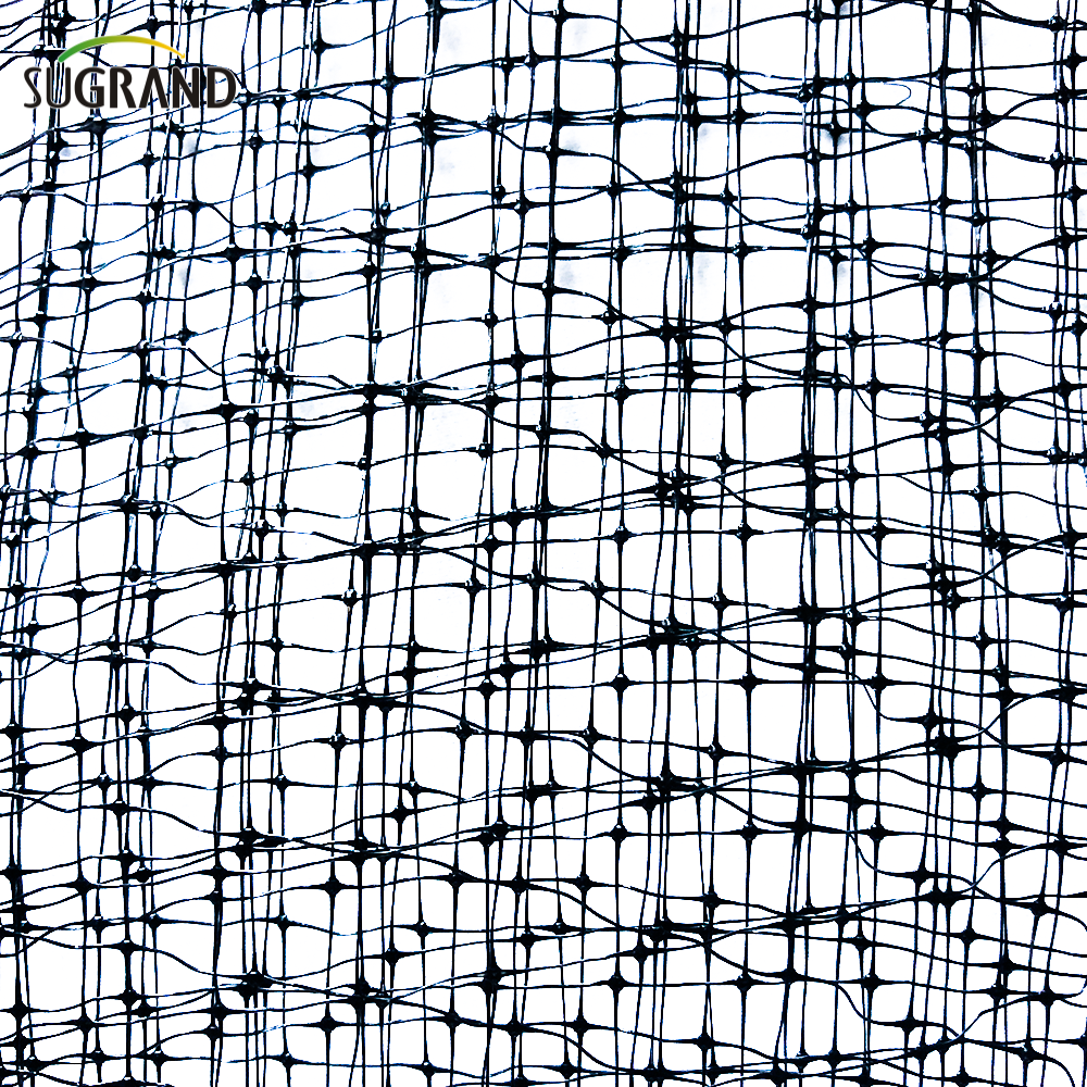 40G czarny 15x15 lub 16x16 ciężkie drzewo owocowe siatka ptaków